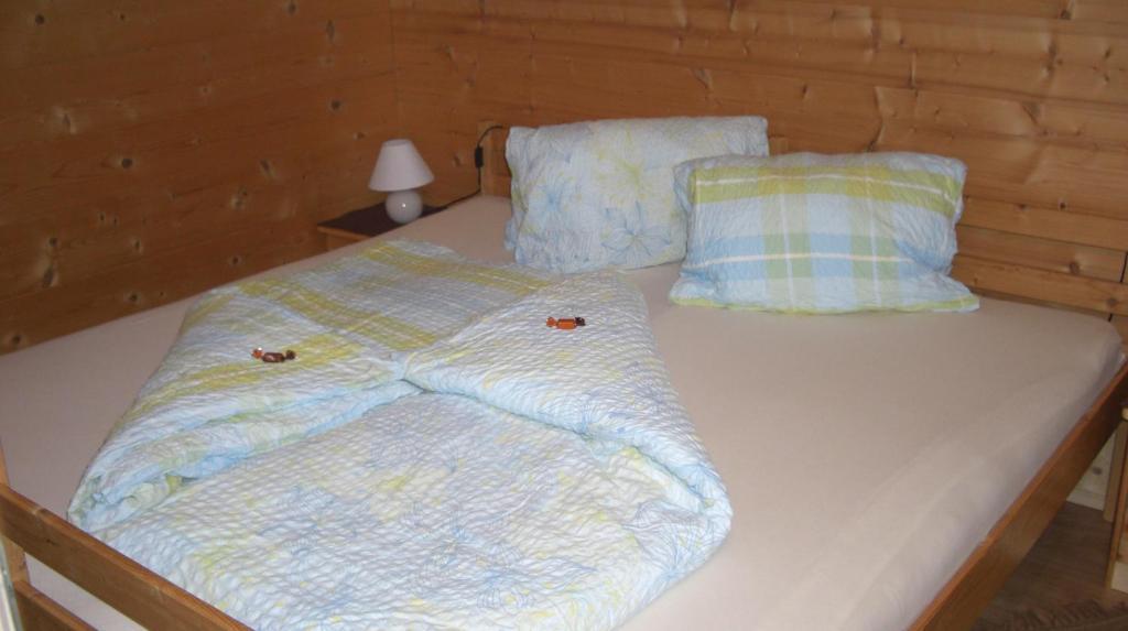 Appartement Leirer Alpbach Camera foto